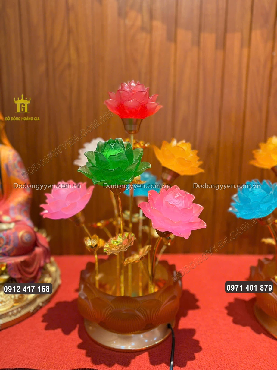 7 b&ocirc;ng hoa sen lưu ly đang bung nở, khoe sắc